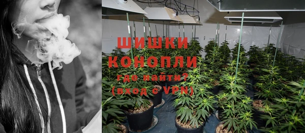 твердый Аркадак