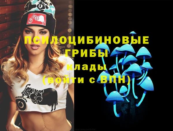 твердый Аркадак